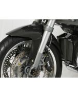 Schutzblech Carbon BMW R 1200 R