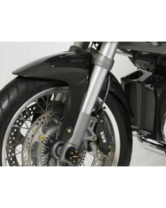 Schutzblech Carbon BMW R 1200 R