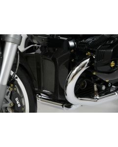 Kühlerverkleidung Carbon BMW R 1200 R